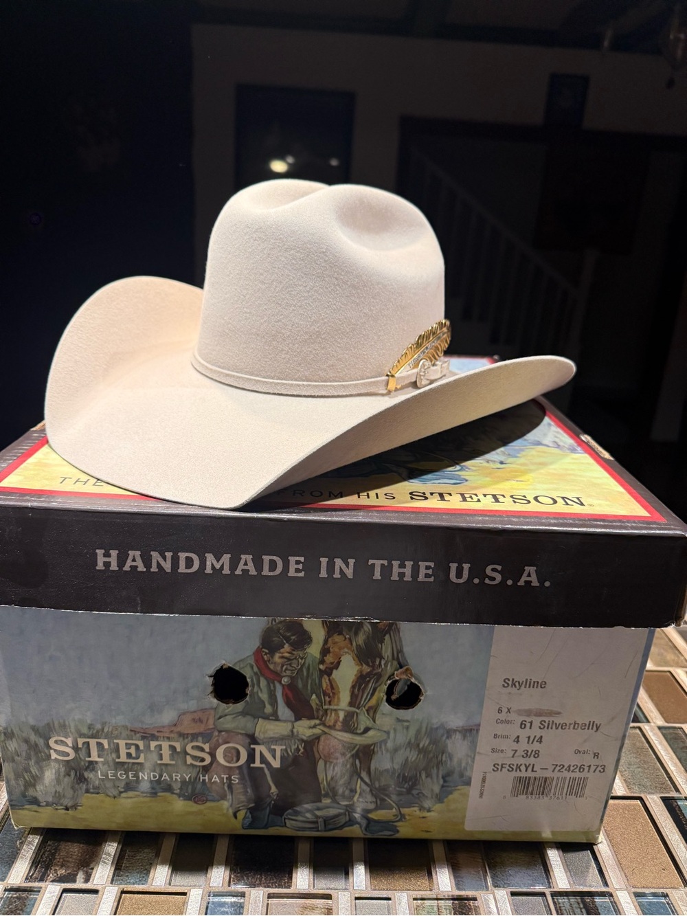 Stetson Men's Silverbelly Skyline Silverbelly. Feather is not included.